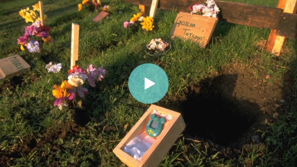 Video still showing a Tamagotchi graveyard. Click through for video.